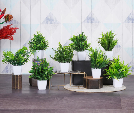 Artificial Plants (Set of 8)